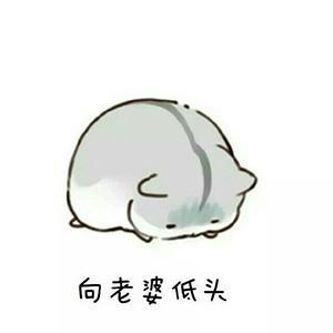 如果您向您的妻子承认自己的错误