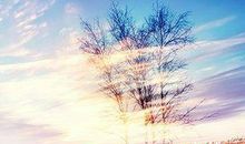 关于冬天的抒情句子