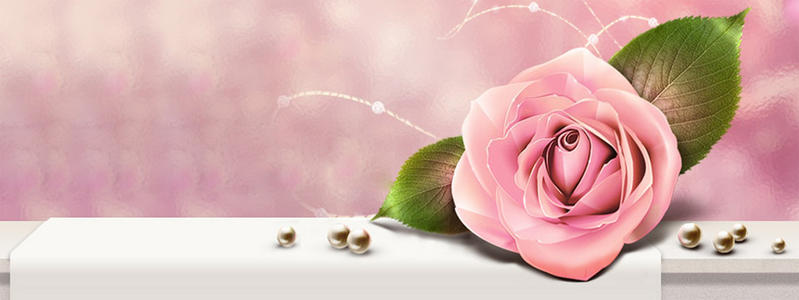 美丽的句子描述玫瑰