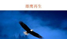 雄鹰的励志名言