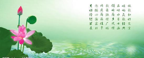 赞美莲花的诗句