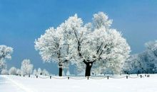 描写冬季景色的诗句