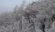 描写北方雪景的诗句