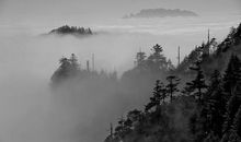 描写山林景色的成语