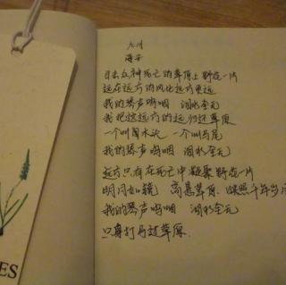 关于爱情的现代诗歌