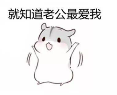 形容我妻子的句子