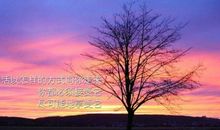 八个字的励志语