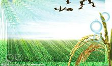 描写风大的句子