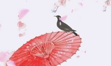 美到窒息的古风句子简短 优美的古风短句