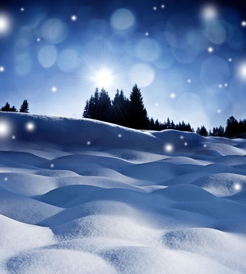 描述冬天下雪的成语