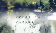 表达感情的诗句