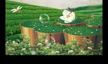 描写茶的优美句子