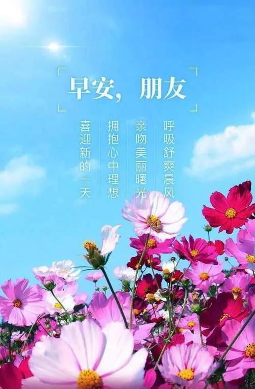 关于花的励志句子
