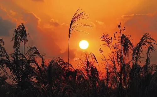 下午快乐快乐地谈论句子，下午懒而舒适的句子2