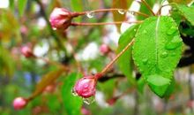 令人温暖的五句话