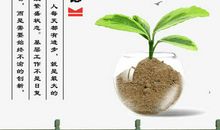 创新与传统关系的名言