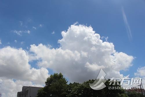 雪花飞扬的隐喻