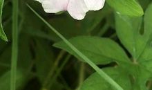 朋友圈说说短句最新