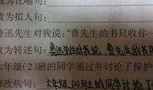 比喻句20字