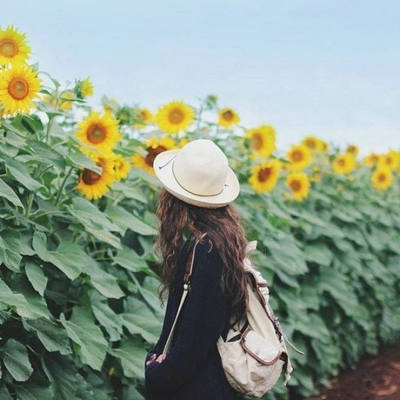 看着别人的故事和哭泣