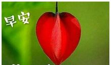 2019祝福短信大全