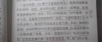 三伏天祝福客户