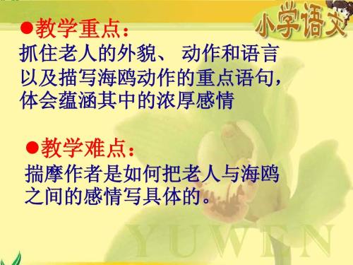 描述老年人外观的句子