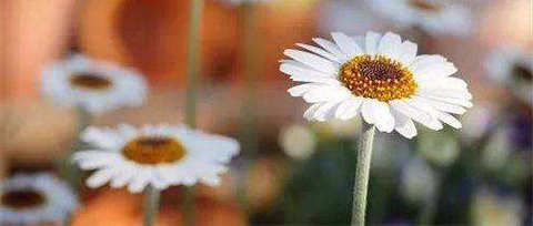 只有过滤生活中的杂质,您才能看到自己的内心丰盈,品尝到生活的真true 1