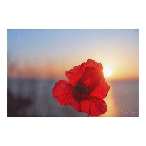 认罪真相50句话