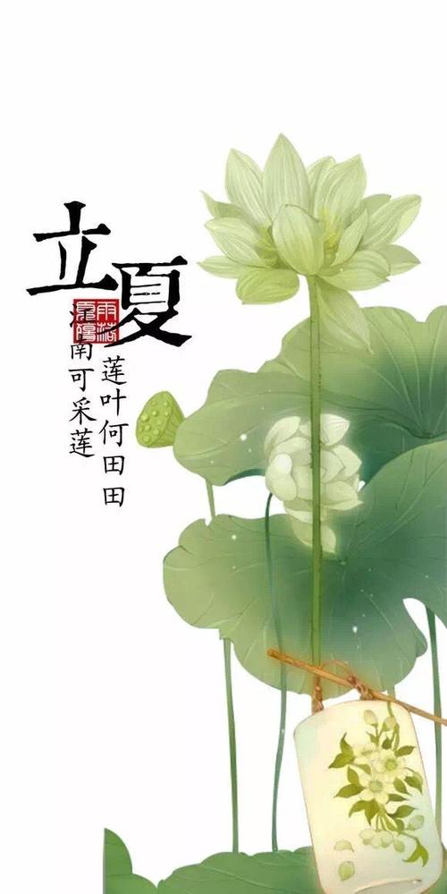 二十四节气谚语丽霞