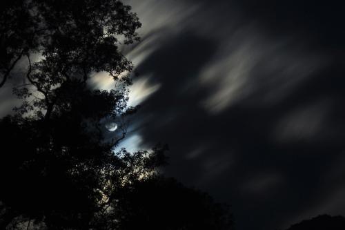 优美的句子形容夜晚