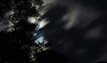 描写夜色的唯美句子