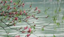 描写狂风的比喻句