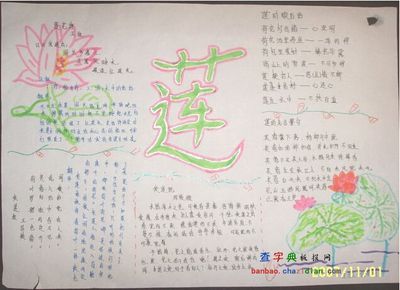 与莲花有关的寓言词