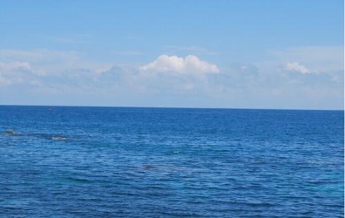 关于大海的一句话