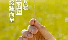 2020朋友圈心情感悟句子