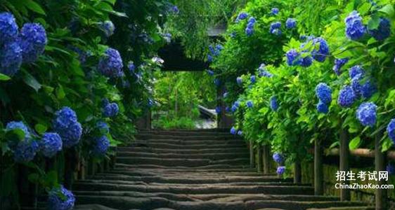 春天风景的寓言