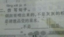 是……不是……造句大全