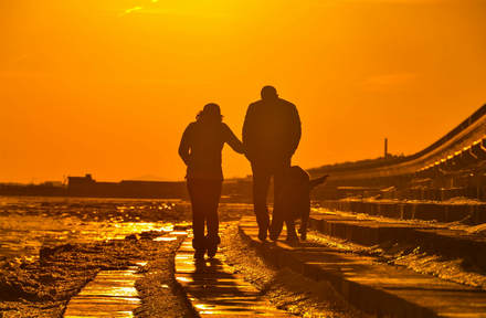 人生是一场旅程。您所关心的是道路上的风景。希望您经过风景时遇到的美好事物1