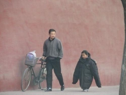 什么是父亲之爱的隐喻