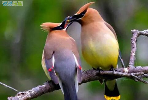 甜言蜜语的空间