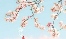春分谚语