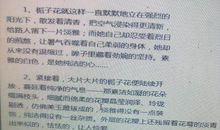 描写栀子花比喻句