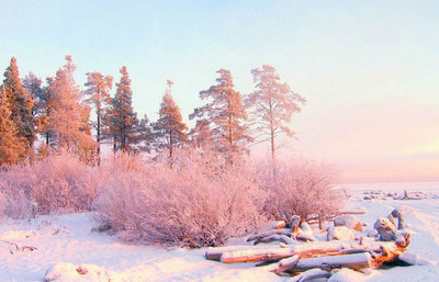 句子和段落中描述冬天的节选：忽然一夜的春风，数千棵树和梨花