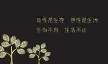 妹妹结婚祝福语发说说