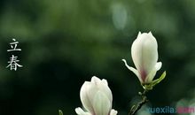 和立春有关的谚语