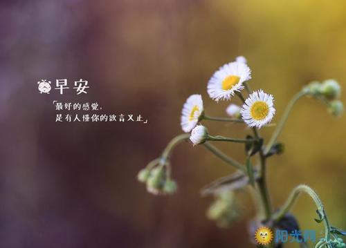 早安故事短正能量