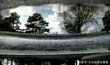 新年开始的句子