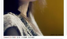 女人感性的句子