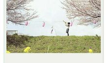 关于夫妻感情的名言